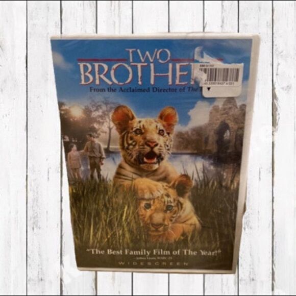 DVD Two Brothers The Best Family Film of the Year PG Widescreen 🍿3/$15 - Picture 12 of 12